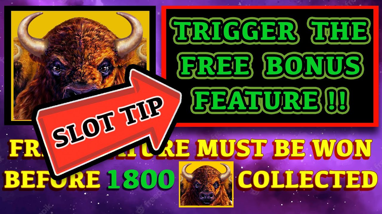 Buffalo Link Slot TIP for Triggering the FREE BONUS Feature!