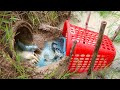 Fishing In Rainy Season! How To Making Fish Trapping Using Basket For Catching Catfish - tyriq 1256