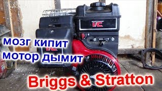 ЧУТЬ МОЗГ НЕ ВСКИПЕЛ , ДЫМИТ Briggs & Stratton 8л/с, РАСПАКОВКА ЗАПЧАСТЕЙ