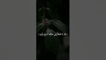 (قَالَ لَا تَخَافَاۤۖ) سورة طه