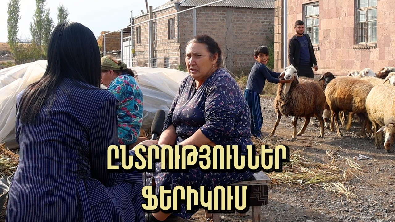 Եզդիաբնակ Ֆերիկում ընտրություններ են․ Միակ թեկնածուն և գյուղացիների ակնկալիքները