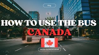 How to take the Bus in Canada 🇨🇦 #canadanature #travelvlog #vlog #newimmigrantsincanada