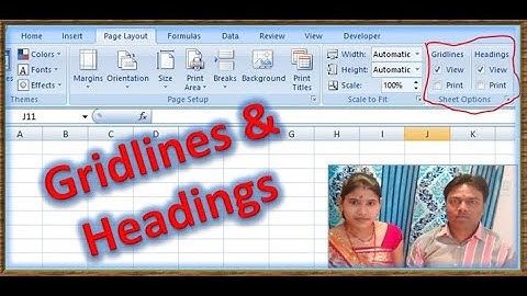 Gridline ,Headings, Gridline in excel, Headings in excel, excel ,page layout in excel, Microsoft