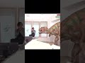 Help Felix Tiktok Straykids Core Straykidscore Felix Comedy 