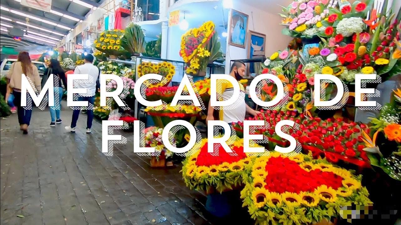 EL MERCADO DE FLORES A MEJOR PRECIO EN CDMX MERCADO DE JAMAICA - YouTube