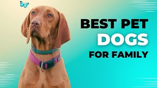 Best Family Pet Dogs  Every Family Should Have