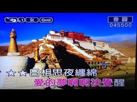 林美麗演唱歌『水中月圓』