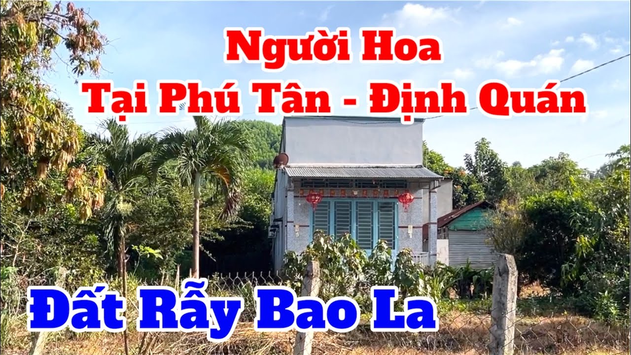 Người Hoa Tại Phú Tân Sống Thế Nào?