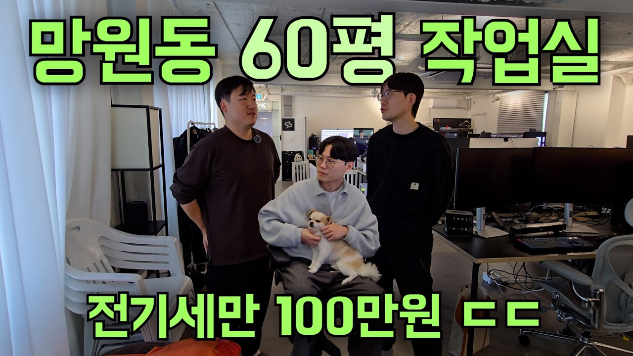 프리랜서 21명이 한 작업실에서 작업하면 벌어지는 일 | 망원동 띱하우스 공유 작업실 투어