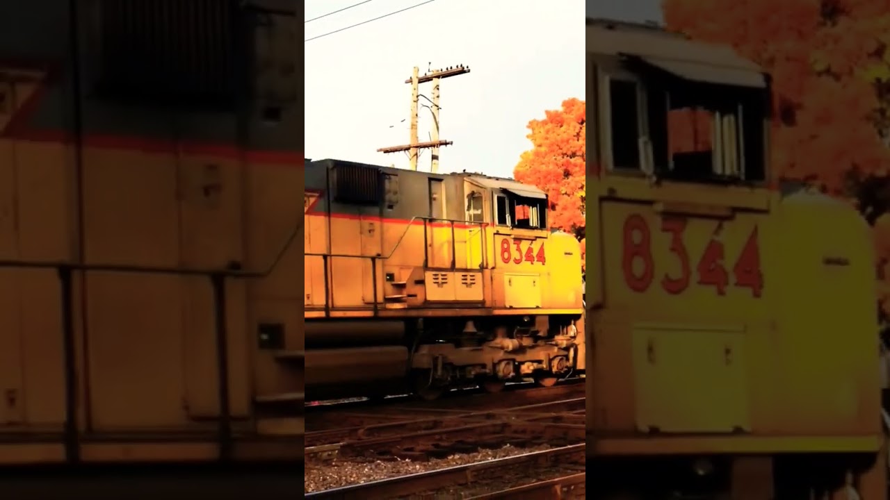 Union Pacific Intermodal Crossing the West Chicago Railroad Diamonds