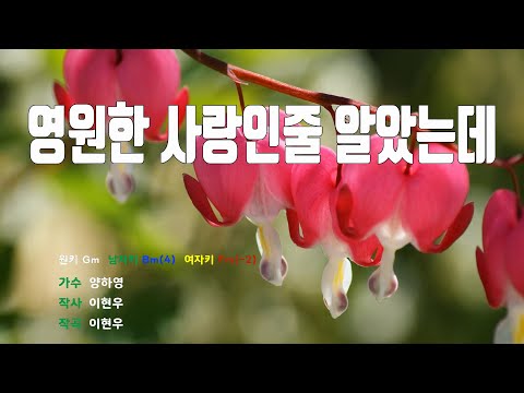 [은성 반주기] 영원한사랑인줄알았는데 - 양하영