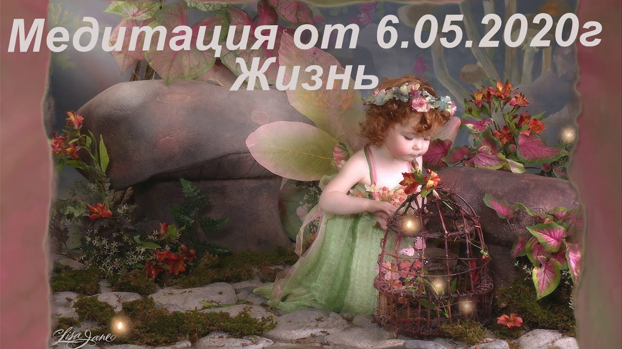 лиза джейн фотограф. Lisa jane. фотохудожник лиза джейн. лиза джейн фотограф. фото лизы джейн.