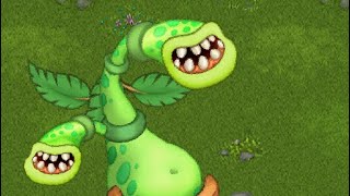 Crazy Potbelly (My singing monsters)
