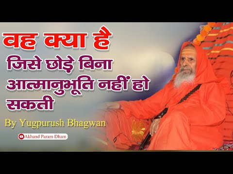 वह क्या है जिसे छोड़े बिना आत्मानुभूति नहीं हो सकती   युगपुरुष जी