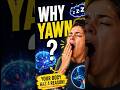 Why Do We Yawn? 🥱Your Brain need this🧠 Science cannot fully explain this😯#humanbody#biologyfacts