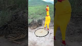 Awesome Unique DIY Quail Bird Trap Using STARBUCKS Bottle #camping #Outdoors #bushcraft #starbu
