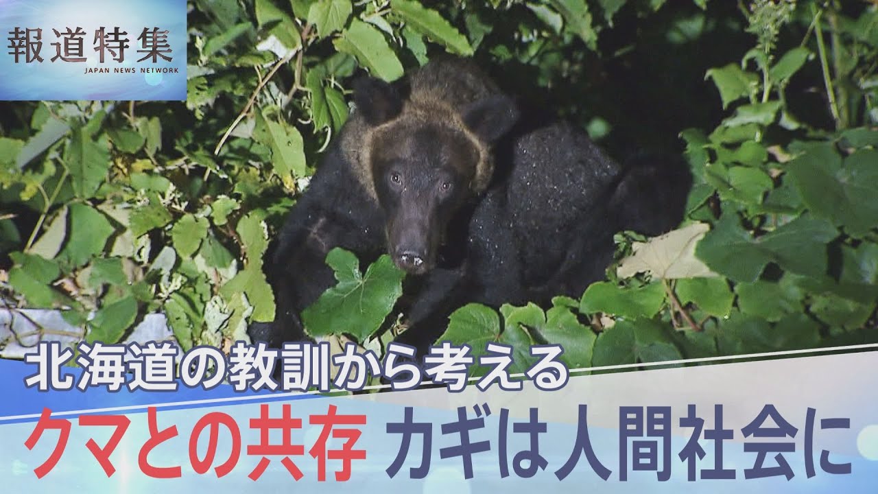 「“ガリガリ”という音が」ヒグマに母を連れていかれ…100年前、クマ襲撃で8人死傷　被害者の生々しい証言テープ【報道特集】｜TBS NEWS DIG