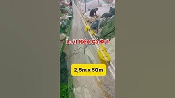 Lưới Kéo Cá Đối - Cá Đục . 2,5m x 50m 2,5cm / Cước Đúc Thái / Chì Lỗ nguyên chất #luoidanhcaadau