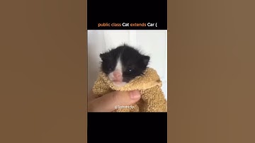 #memes #programming #youtube #codelife #coding #reels #softwareengineer #tech #instagram #css