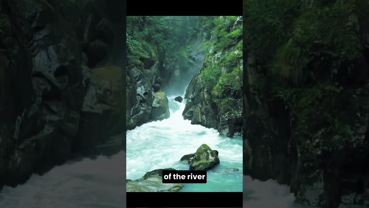 Secrets of the amazon river 