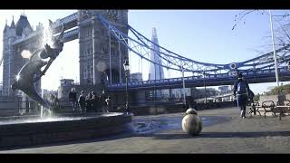 BB-8 VFX Animation