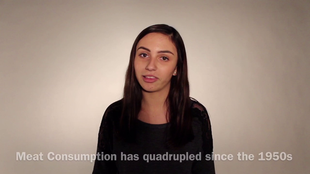 Ef Global Citizen Scholarship3