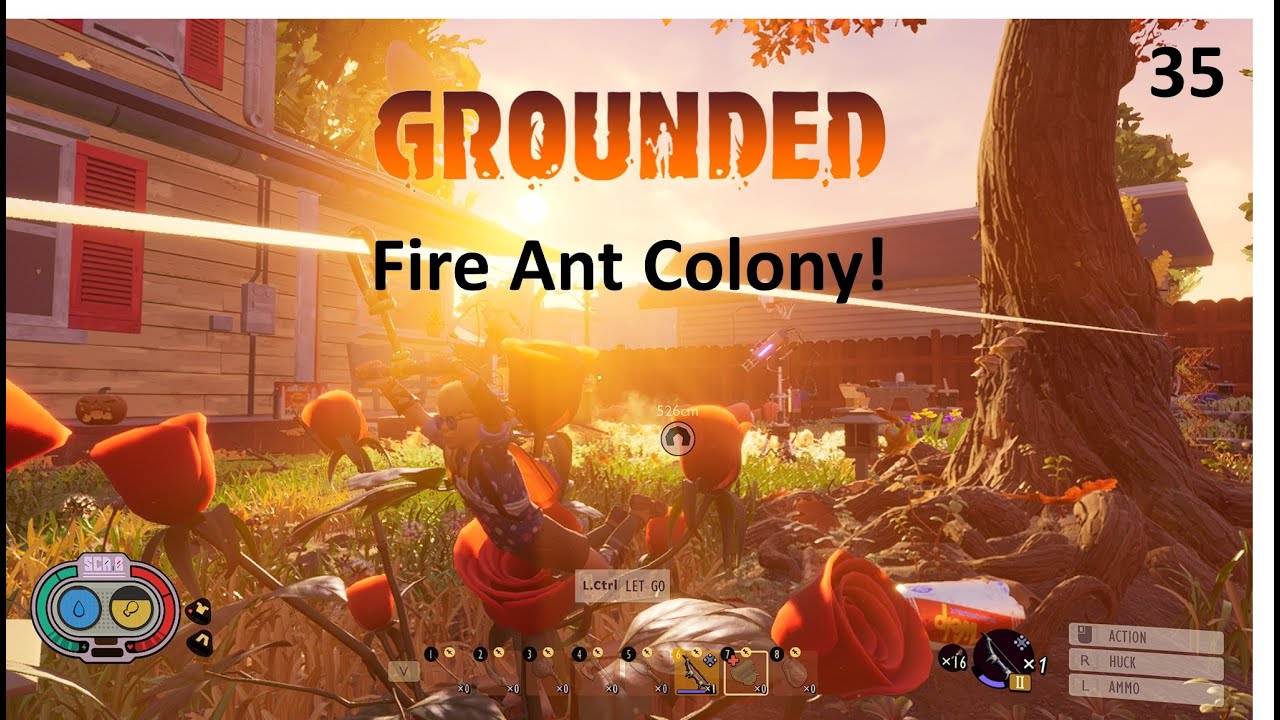 Grounded - (35) Fire Ant Colony! - YouTube