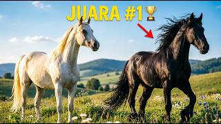 7 Kuda Tercantik di Dunia 🐎✨ / Ada di Game RDR 2 Juga Kudanya