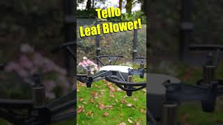 DJI Tello Leaf Blowing $£Money Maker£$  #shorts