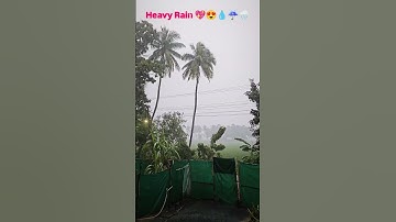 Heavy Rain 💧☔🌧️⛈️💖😍
