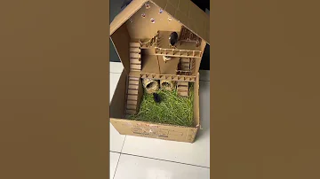 Funny Craftideas Handemade Cardboard Hen Baby Houes Beautiful 