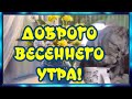 С ДОБРЫМ УТРОМ # С добрым весенним утром и хорошим днем# Красивая Музыкальная Открытка для Друзей