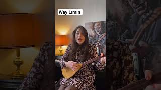 Way Lımın   -  Cemile Dinçer Resimi