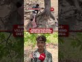 Burhanpur Water Crisis Villagers Risk Lives Fetching Dirty Water From Stepwell