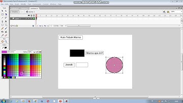 Tutorial flash 8 kuis tebak warna if-else