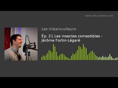 Vidéo: Identification des ténébrions : En savoir plus sur le contrôle des ténébrions