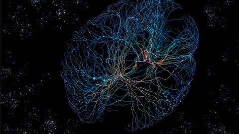 How Neural Network Works - Analog AI Accelerator