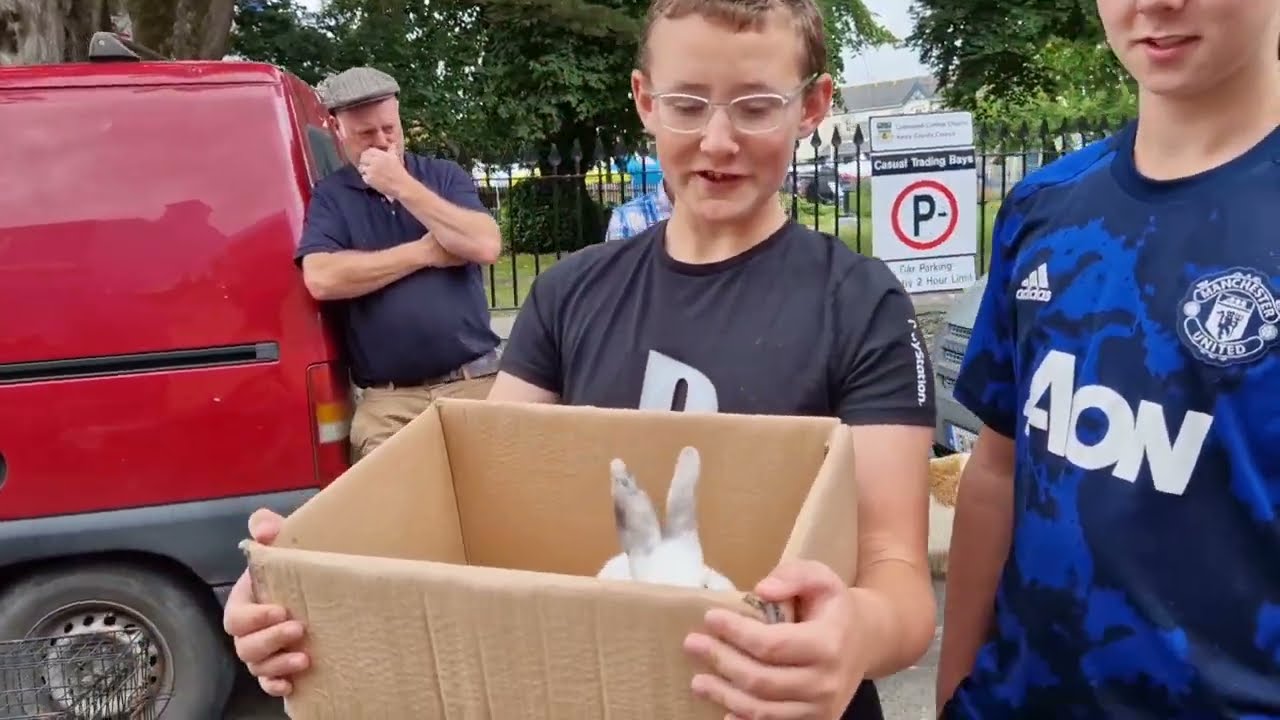 Kenmare Pattern Day Fair with a visit to Our Ladys Holy Well 15th August 2022