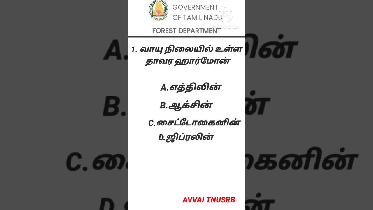 tn forest job video 2 