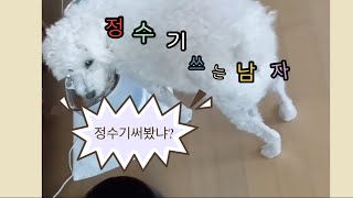 강아지 스테인리스 자동 무선 정수기 | 불순물 걸러진 깨끗한물 마시자