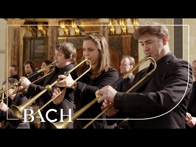 Netherlands Bach Society - Sinfonia from Cantata BWV 29