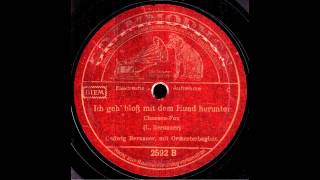 Ich geh' bloß mit dem Hund herunter / Luigi Bernauer mit Orchesterbegleitung