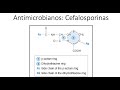 Antimicrobianos: Cefalosporinas || Parte 2 ||