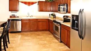 1201 Maple Run Dr video tour