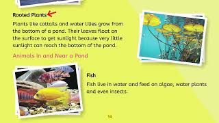 "Science Class 3 | Unit 2 Reading Part 1 | Pages 13-17 | Fun Learning"