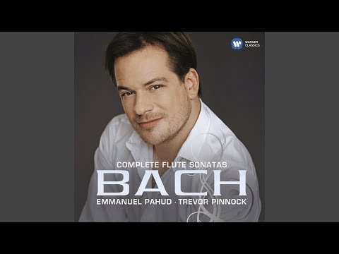 Sleduj Flute Sonata in C Major, BWV 1033: I. Andante - Presto na YouTube