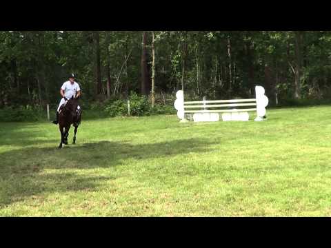 Wim Vinckx & Judyan T vh Herdershof 5yo