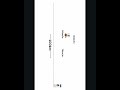 3.2 Calculate distance travelled by bee #puzzles #softwareengineering  #developer #google #microsoft