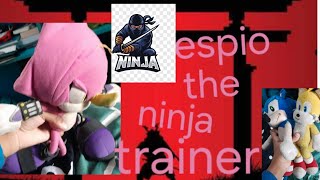 Espio the ninja trainer-super sonic plush show