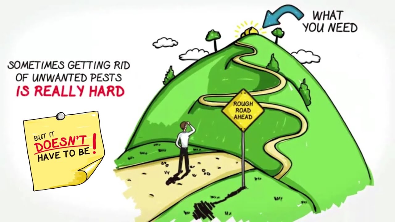 CATCHIT LTD PEST CONTROL IN LONDON YouTube